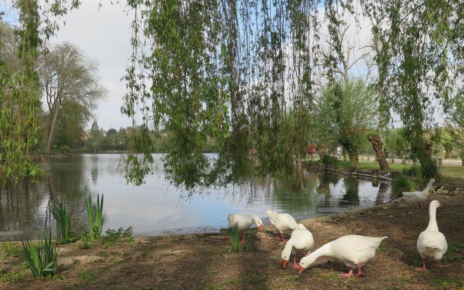 Le Clos Des Marais De Fontenay Екстер'єр фото